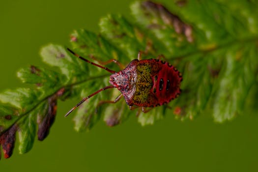 Beyond the Grand Gesture: Unveiling The Power of Small Daily Adjustments for Big Life Improvements