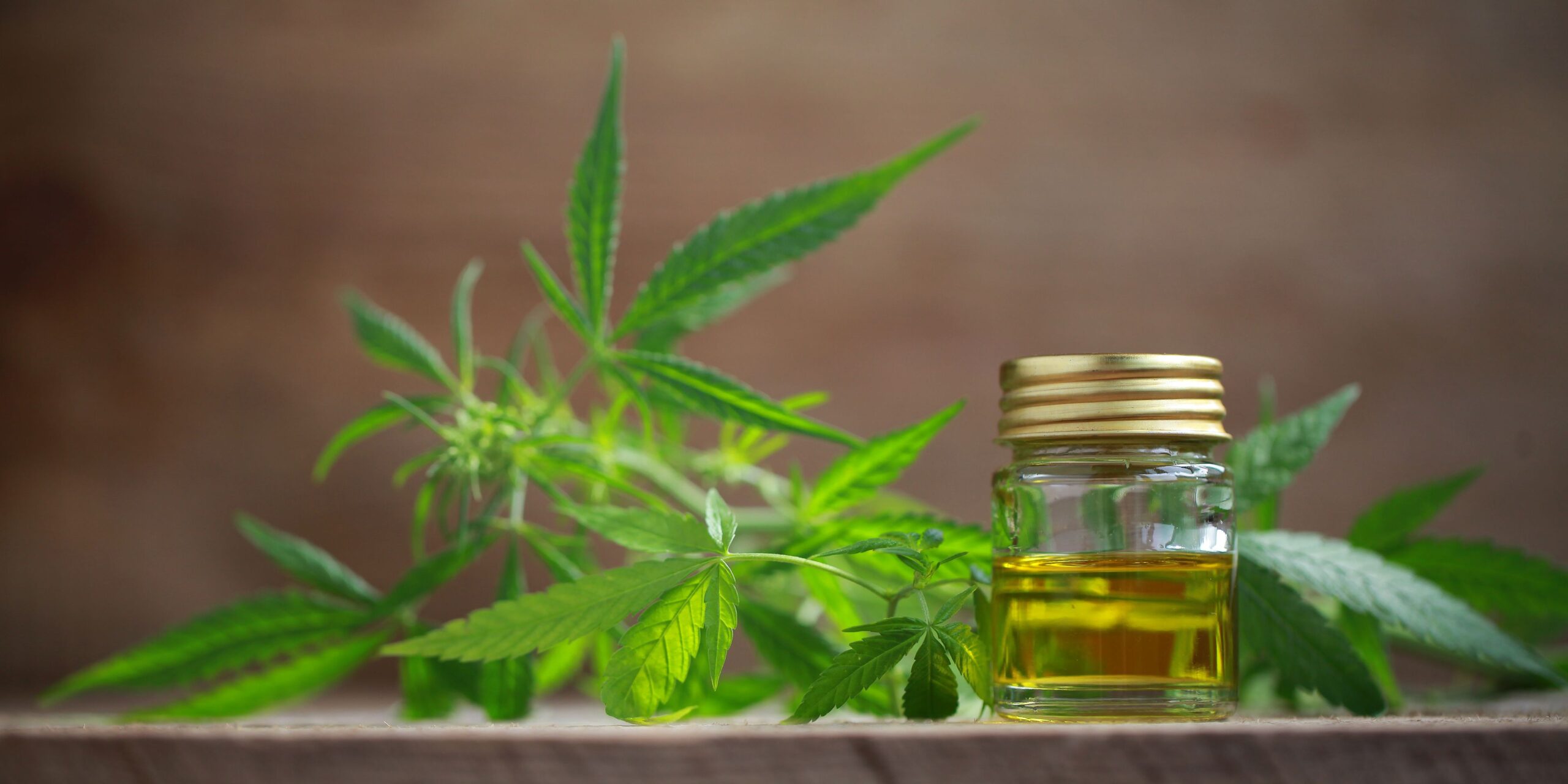 Can Hemp oil relieve Arthritis Pains?
