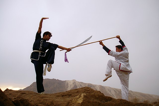How to Teach Yourself Martial Arts
