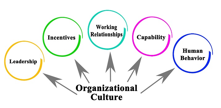What is organizational culture