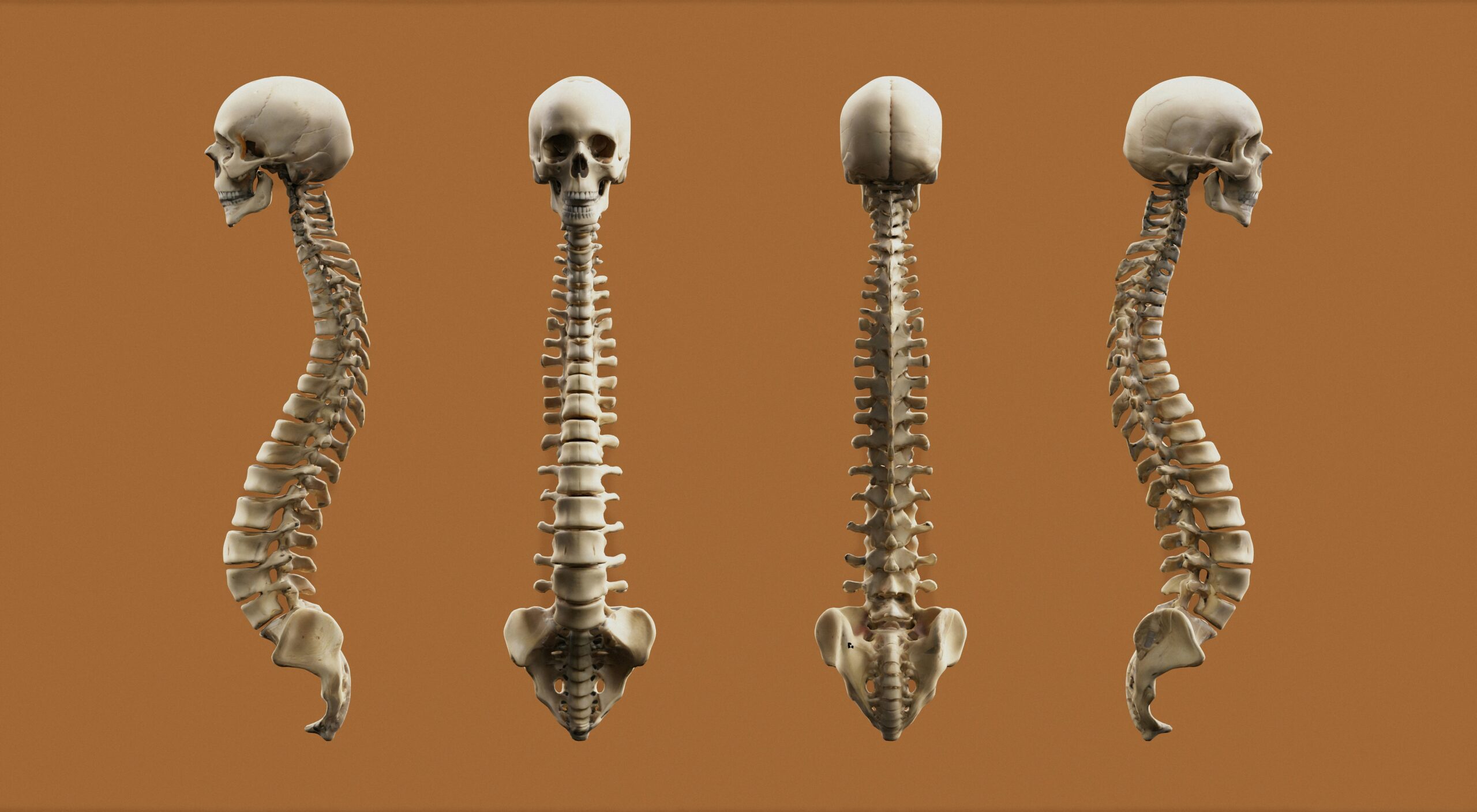 Understanding Bone Marrow Disorders: Symptoms and Signs