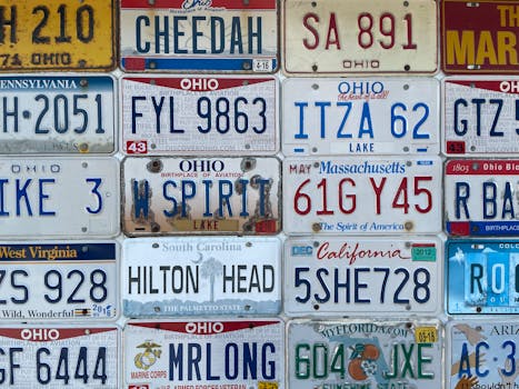 Decoding the Mandate: What Food Handler Licenses Truly Signify