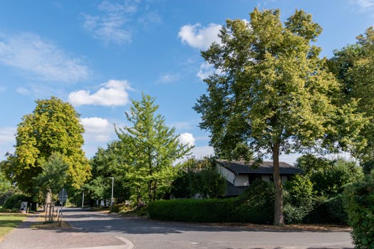 The Quiet Divide: Understanding Less Connectivity in the Suburbs and Rural Neighborhoods