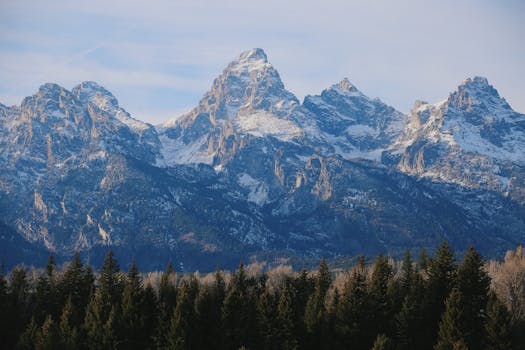 Mastering Grand Teton&rsquo;s Oxbow Bend: Your Direct Path to Unforgettable Views