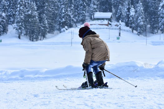 Beyond the Brochure: Unlocking Niseko&rsquo;s Powder Secrets Through Smart Ski Lessons
