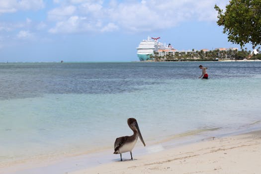 Beyond the Horizon: Unpacking the True Value of an Aruba Yacht Rental