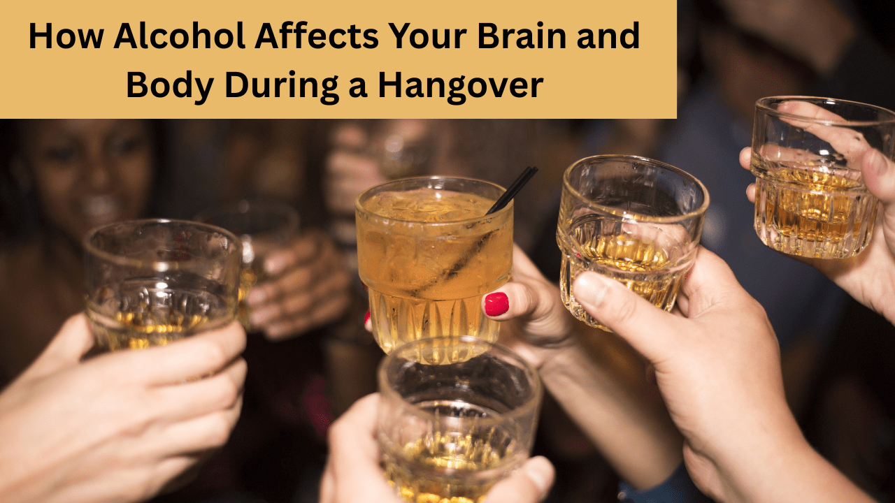 How Alcohol Affects Your Brain and Body During a Hangover